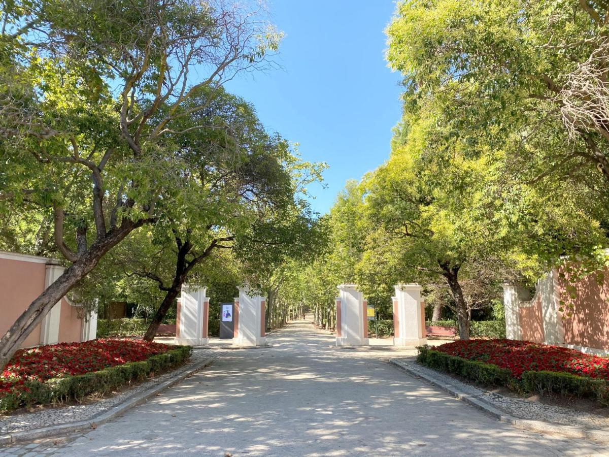 Hotel Bestprice Alcala 马德里 外观 照片
